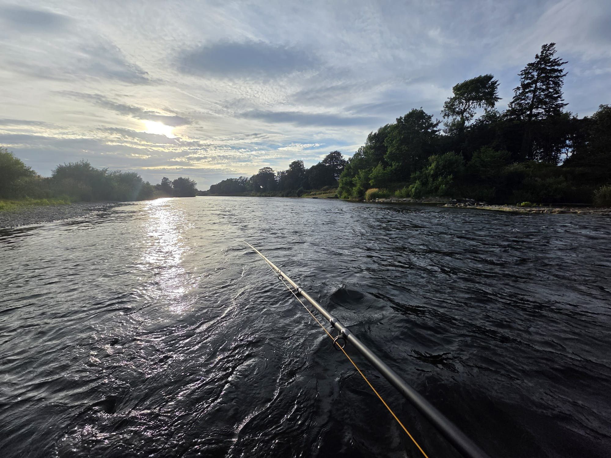 A salmon rod held out over the water at Lower Lees, evening sun on the river